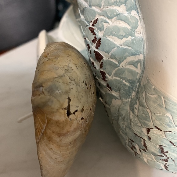 Homemade Soy Wax Candle in a Seashell Ocean Breeze Scented - Picture 9 of 12